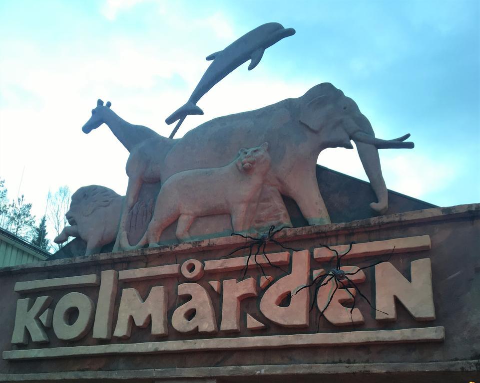 Kolmardens Vandrarhem Kolmården Exterior foto